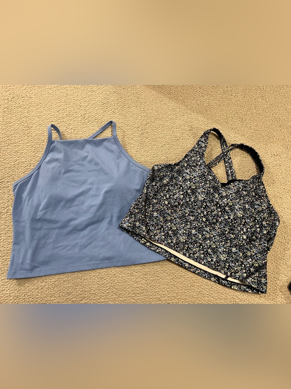 Hollister Tanks
